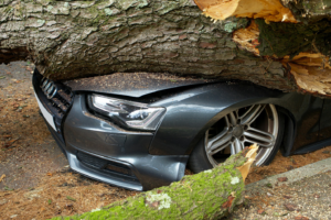 A tree trunk fallen on a grey Audi showcasing a scenario when choosing a car accident attorney may be a necessity